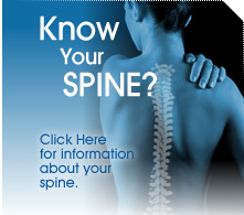 know your spine?